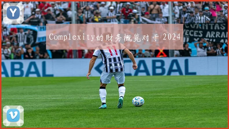 Complexity的财务概览对于 2024