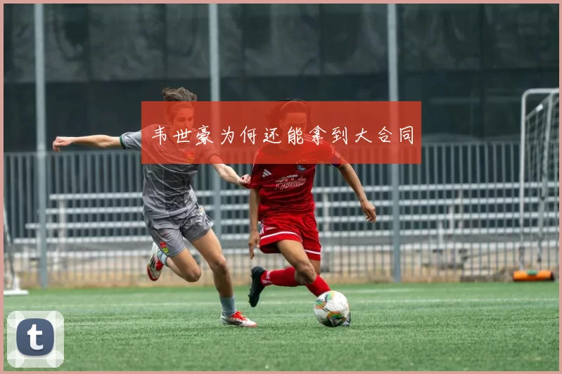 韦世豪为何还能拿到大合同
