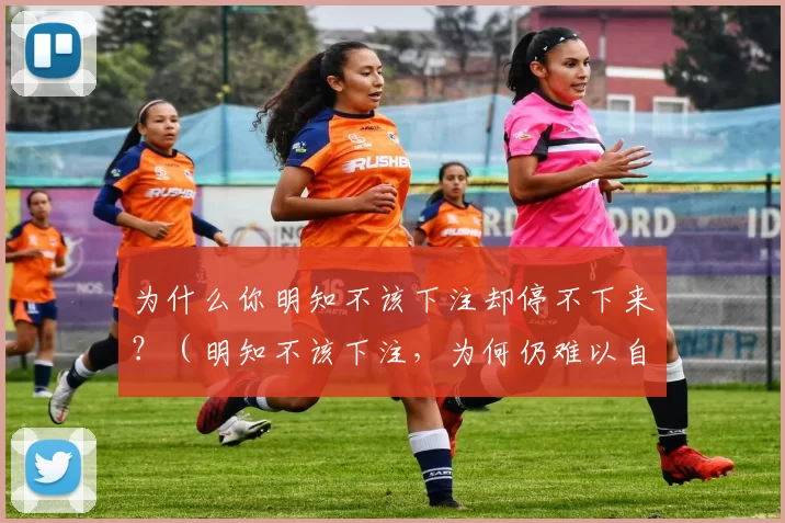 为什么你明知不该下注却停不下来？（明知不该下注，为何仍难以自控？）